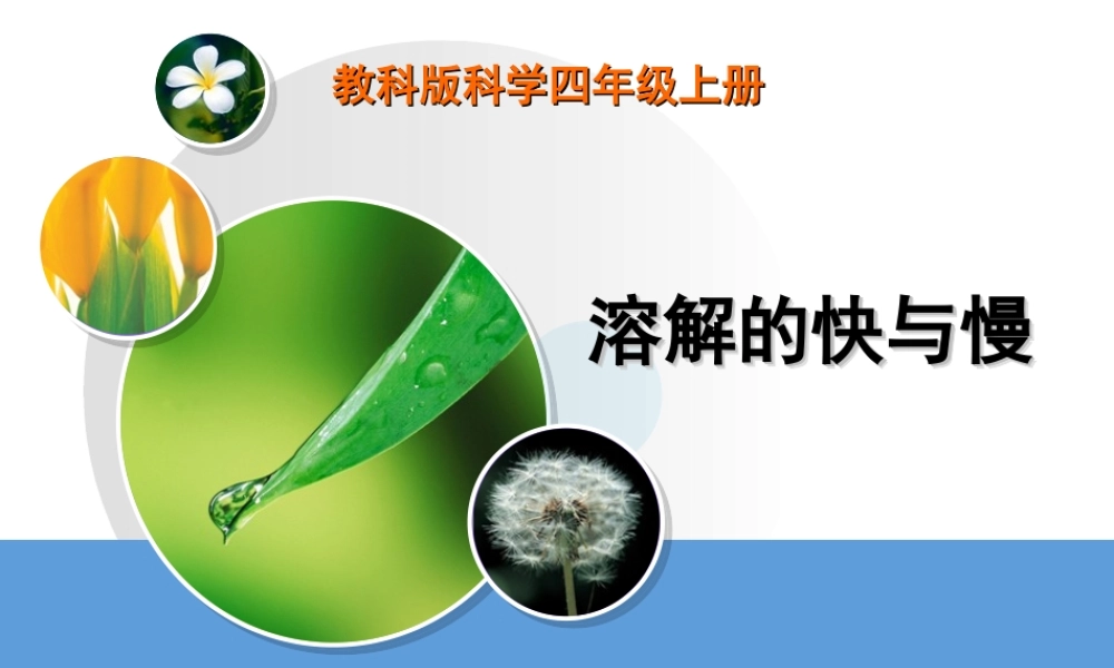 教科小学科学四上《2.5、溶解的快与慢》PPT课件(1)【加微信公众号 jiaoxuewuyou 九折优惠 qq 1119139686】.ppt