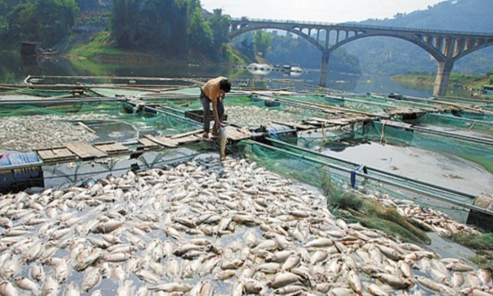 教科小学科学四上《2.4、不同物质在水中的溶解能力》PPT课件(4)【加微信公众号 jiaoxuewuyou 九折优惠 qq 1119139686】.ppt