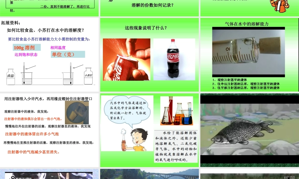 教科小学科学四上《2.4、不同物质在水中的溶解能力》PPT课件(4)【加微信公众号 jiaoxuewuyou 九折优惠 qq 1119139686】.ppt