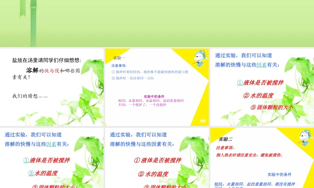 教科小学科学四上《2.5、溶解的快与慢》PPT课件(12)【加微信公众号 jiaoxuewuyou 九折优惠 qq 1119139686】.ppt