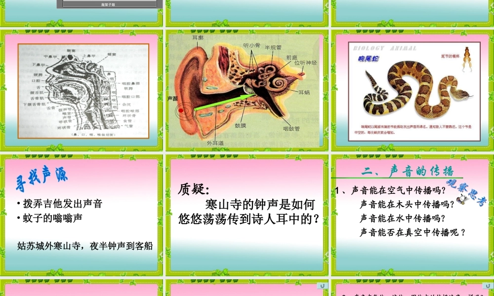 教科小学科学四上《3.2、声音是怎样产生的》PPT课件(5)【加微信公众号 jiaoxuewuyou 九折优惠 qq 1119139686】.ppt