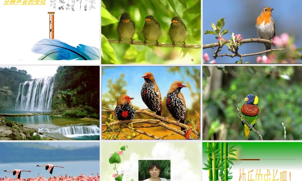 教科小学科学四上《3.1、听听声音》PPT课件(5)【加微信公众号 jiaoxuewuyou 九折优惠 qq 1119139686】.ppt