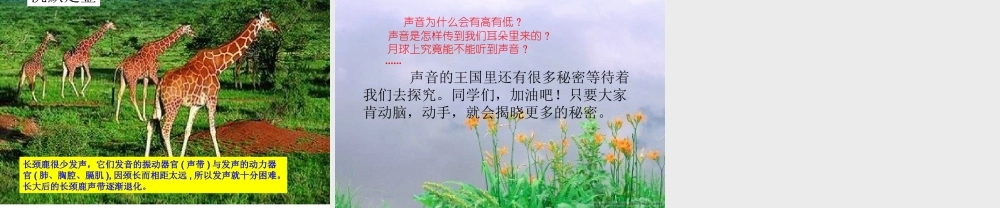 教科小学科学四上《3.2、声音是怎样产生的》PPT课件(2)【加微信公众号 jiaoxuewuyou 九折优惠 qq 1119139686】.ppt