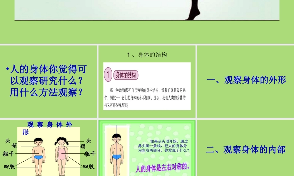 教科小学科学四上《4.1、身体的结构》PPT课件(4)【加微信公众号 jiaoxuewuyou 九折优惠 qq 1119139686】.ppt