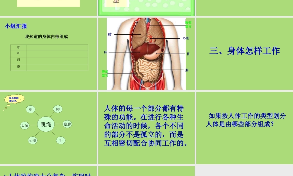 教科小学科学四上《4.1、身体的结构》PPT课件(4)【加微信公众号 jiaoxuewuyou 九折优惠 qq 1119139686】.ppt