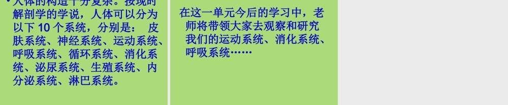 教科小学科学四上《4.1、身体的结构》PPT课件(4)【加微信公众号 jiaoxuewuyou 九折优惠 qq 1119139686】.ppt