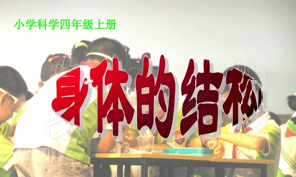 教科小学科学四上《4.1、身体的结构》PPT课件(6)【加微信公众号 jiaoxuewuyou 九折优惠 qq 1119139686】.ppt
