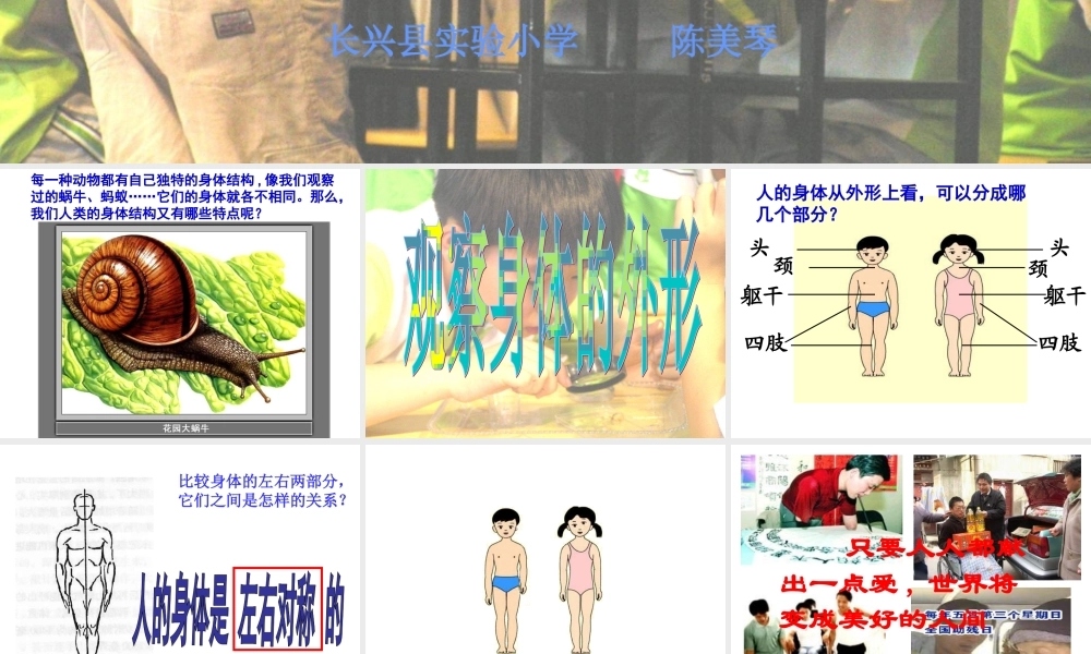 教科小学科学四上《4.1、身体的结构》PPT课件(6)【加微信公众号 jiaoxuewuyou 九折优惠 qq 1119139686】.ppt