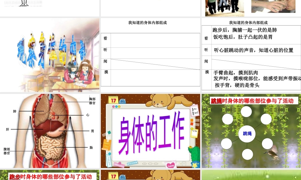 教科小学科学四上《4.1、身体的结构》PPT课件(6)【加微信公众号 jiaoxuewuyou 九折优惠 qq 1119139686】.ppt