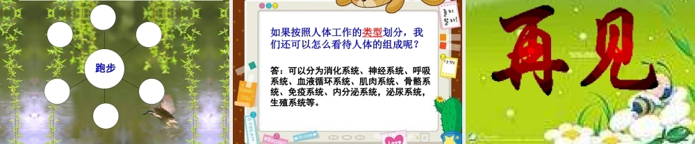 教科小学科学四上《4.1、身体的结构》PPT课件(6)【加微信公众号 jiaoxuewuyou 九折优惠 qq 1119139686】.ppt