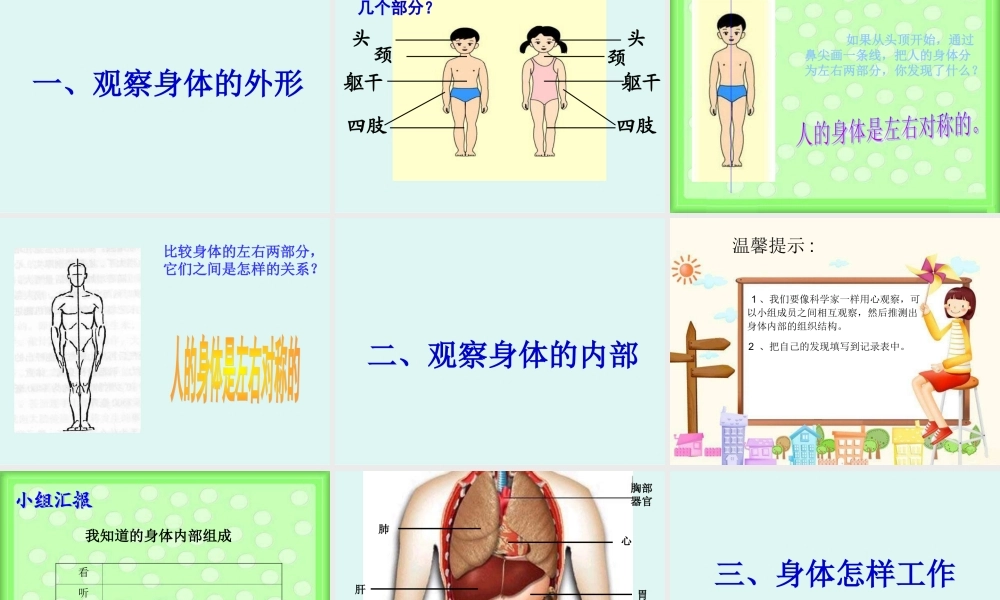 教科小学科学四上《4.1、身体的结构》PPT课件(3)【加微信公众号 jiaoxuewuyou 九折优惠 qq 1119139686】.ppt