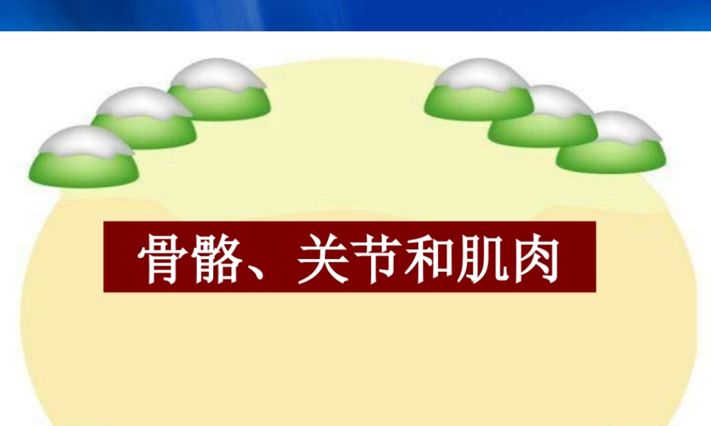 教科小学科学四上《4.2、骨骼、关节和肌肉》PPT课件(3)【加微信公众号 jiaoxuewuyou 九折优惠 qq 1119139686】.ppt