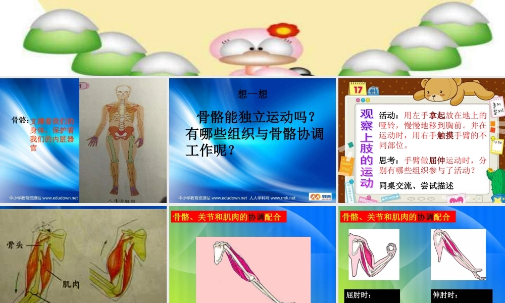 教科小学科学四上《4.2、骨骼、关节和肌肉》PPT课件(3)【加微信公众号 jiaoxuewuyou 九折优惠 qq 1119139686】.ppt