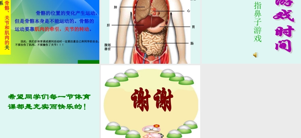 教科小学科学四上《4.1、身体的结构》PPT课件(5)【加微信公众号 jiaoxuewuyou 九折优惠 qq 1119139686】.ppt
