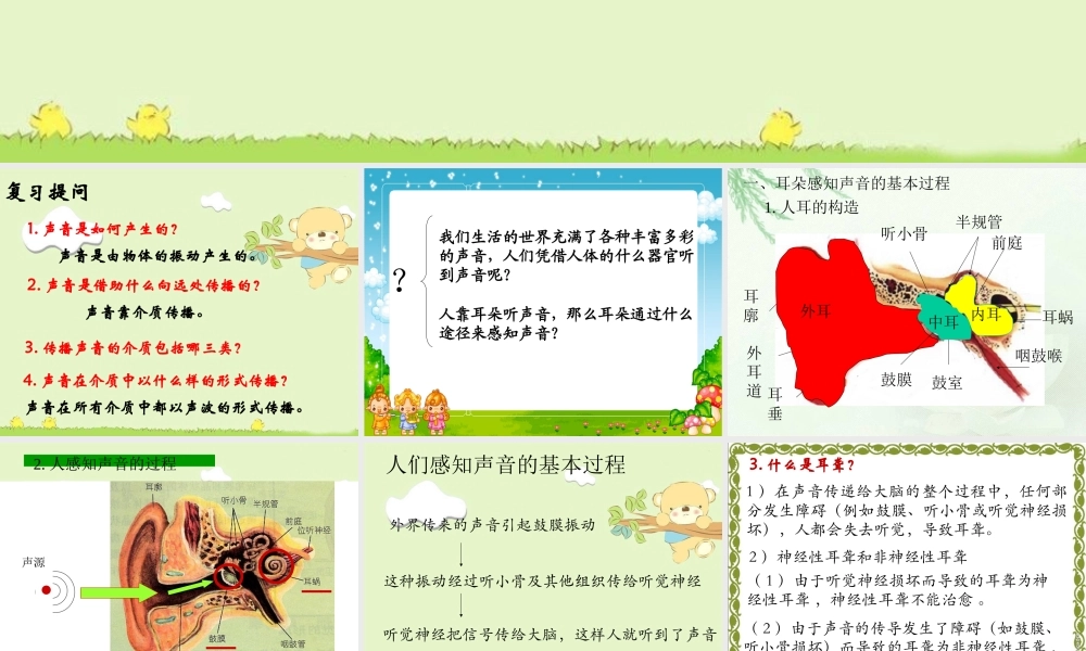 教科小学科学四上《3.6、我们是怎样听到声音的》PPT课件(7)【加微信公众号 jiaoxuewuyou 九折优惠 qq 1119139686】.ppt