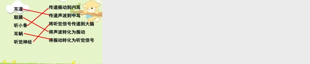 教科小学科学四上《3.6、我们是怎样听到声音的》PPT课件(7)【加微信公众号 jiaoxuewuyou 九折优惠 qq 1119139686】.ppt