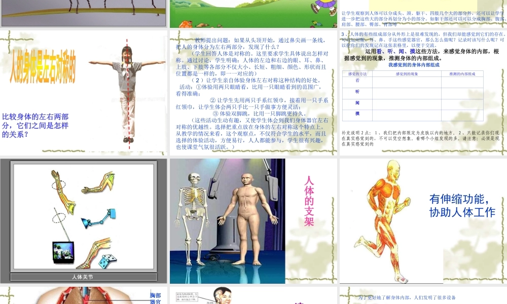 教科小学科学四上《4.1、身体的结构》PPT课件(1)【加微信公众号 jiaoxuewuyou 九折优惠 qq 1119139686】.ppt