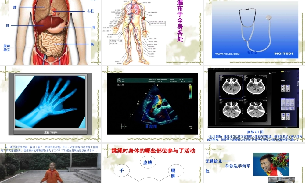 教科小学科学四上《4.1、身体的结构》PPT课件(1)【加微信公众号 jiaoxuewuyou 九折优惠 qq 1119139686】.ppt