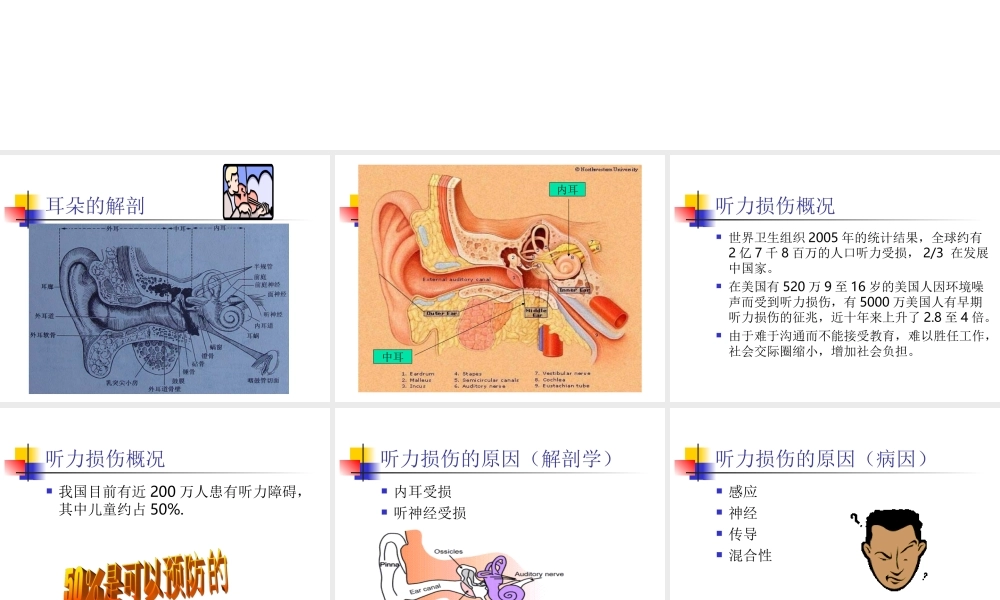 教科小学科学四上《3.7、保护我们的听力》PPT课件(2)【加微信公众号 jiaoxuewuyou 九折优惠 qq 1119139686】.ppt