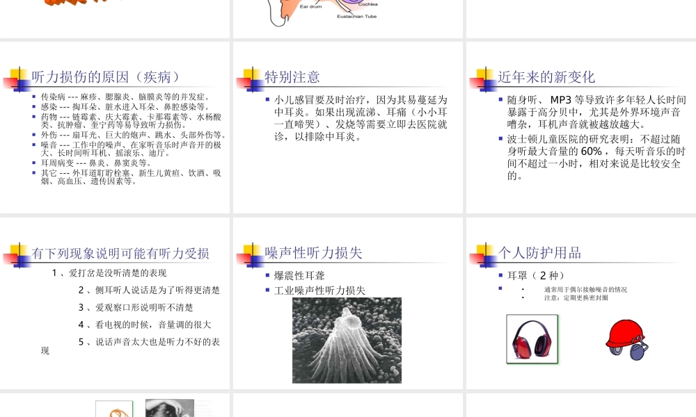 教科小学科学四上《3.7、保护我们的听力》PPT课件(2)【加微信公众号 jiaoxuewuyou 九折优惠 qq 1119139686】.ppt