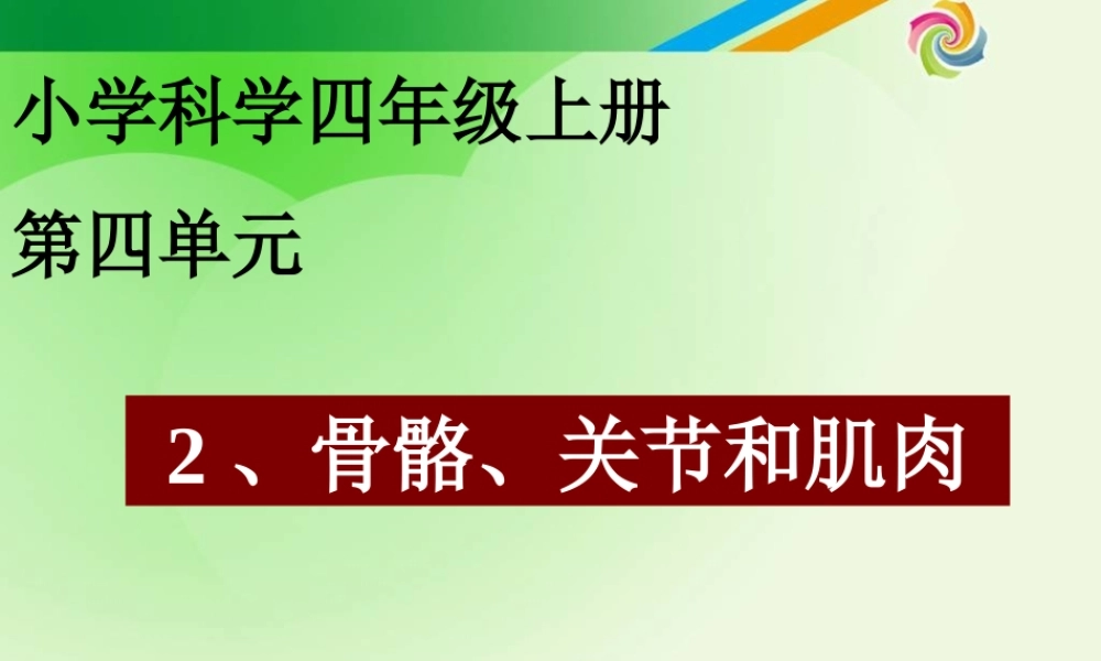 教科小学科学四上《4.2、骨骼、关节和肌肉》PPT课件(1)【加微信公众号 jiaoxuewuyou 九折优惠 qq 1119139686】.ppt