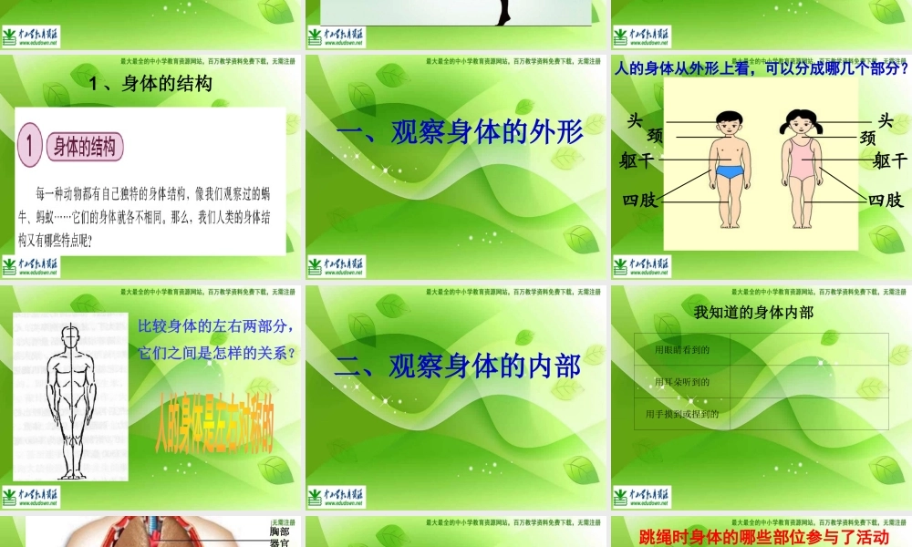 教科小学科学四上《4.1、身体的结构》PPT课件(2)【加微信公众号 jiaoxuewuyou 九折优惠 qq 1119139686】.ppt