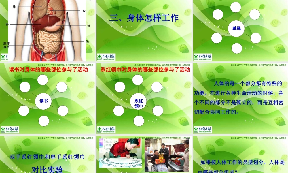 教科小学科学四上《4.1、身体的结构》PPT课件(2)【加微信公众号 jiaoxuewuyou 九折优惠 qq 1119139686】.ppt