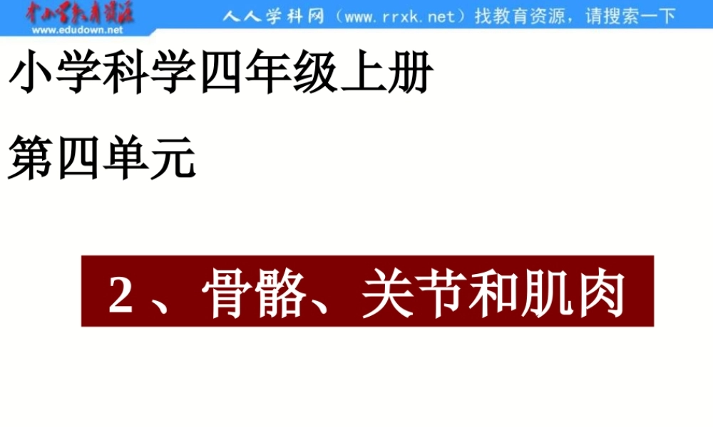 教科小学科学四上《4.2、骨骼、关节和肌肉》PPT课件(2)【加微信公众号 jiaoxuewuyou 九折优惠 qq 1119139686】.ppt