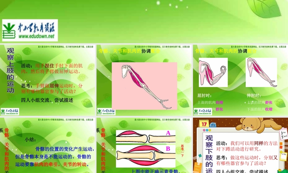 教科小学科学四上《4.2、骨骼、关节和肌肉》PPT课件(7)【加微信公众号 jiaoxuewuyou 九折优惠 qq 1119139686】.ppt