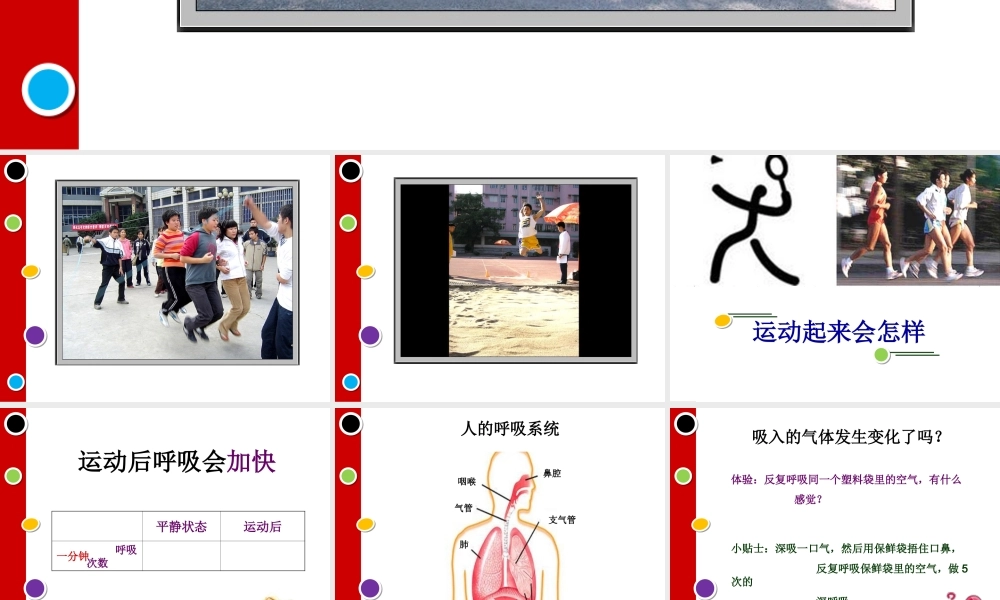 教科小学科学四上《4.3、跳动起来会怎样（一）》PPT课件(5)【加微信公众号 jiaoxuewuyou 九折优惠 qq 1119139686】.ppt