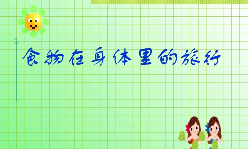 教科小学科学四上《4.5、食物在体内的旅行》PPT课件(3)【加微信公众号 jiaoxuewuyou 九折优惠 qq 1119139686】.ppt