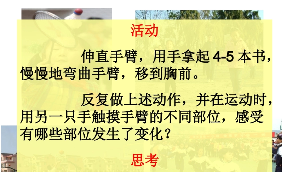 教科小学科学四上《4.2、骨骼、关节和肌肉》PPT课件(6)【加微信公众号 jiaoxuewuyou 九折优惠 qq 1119139686】.ppt