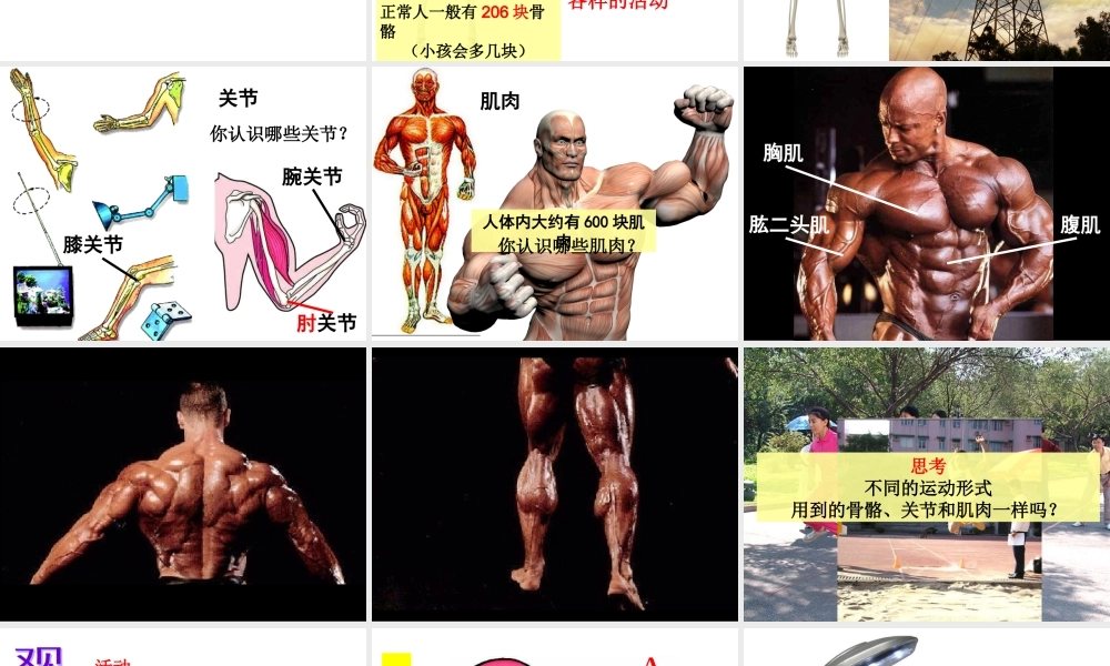 教科小学科学四上《4.2、骨骼、关节和肌肉》PPT课件(6)【加微信公众号 jiaoxuewuyou 九折优惠 qq 1119139686】.ppt