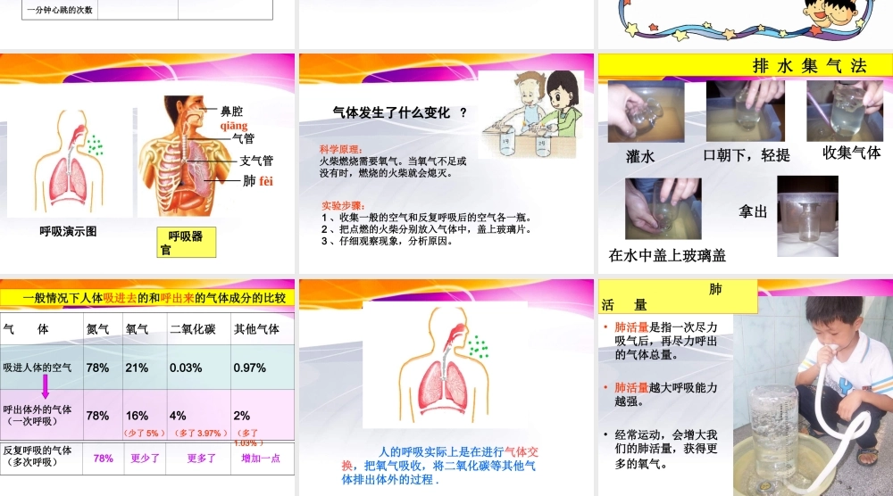 教科小学科学四上《4.3、跳动起来会怎样（一）》PPT课件(7)【加微信公众号 jiaoxuewuyou 九折优惠 qq 1119139686】.ppt