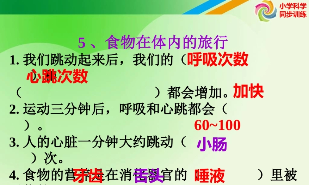 教科小学科学四上《4.5、食物在体内的旅行》PPT课件(5)【加微信公众号 jiaoxuewuyou 九折优惠 qq 1119139686】.ppt