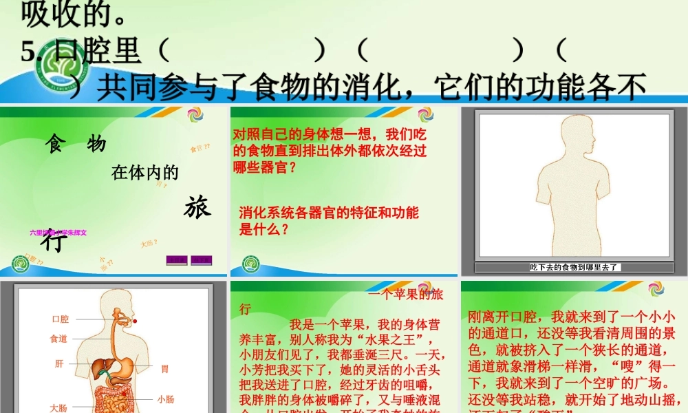教科小学科学四上《4.5、食物在体内的旅行》PPT课件(5)【加微信公众号 jiaoxuewuyou 九折优惠 qq 1119139686】.ppt