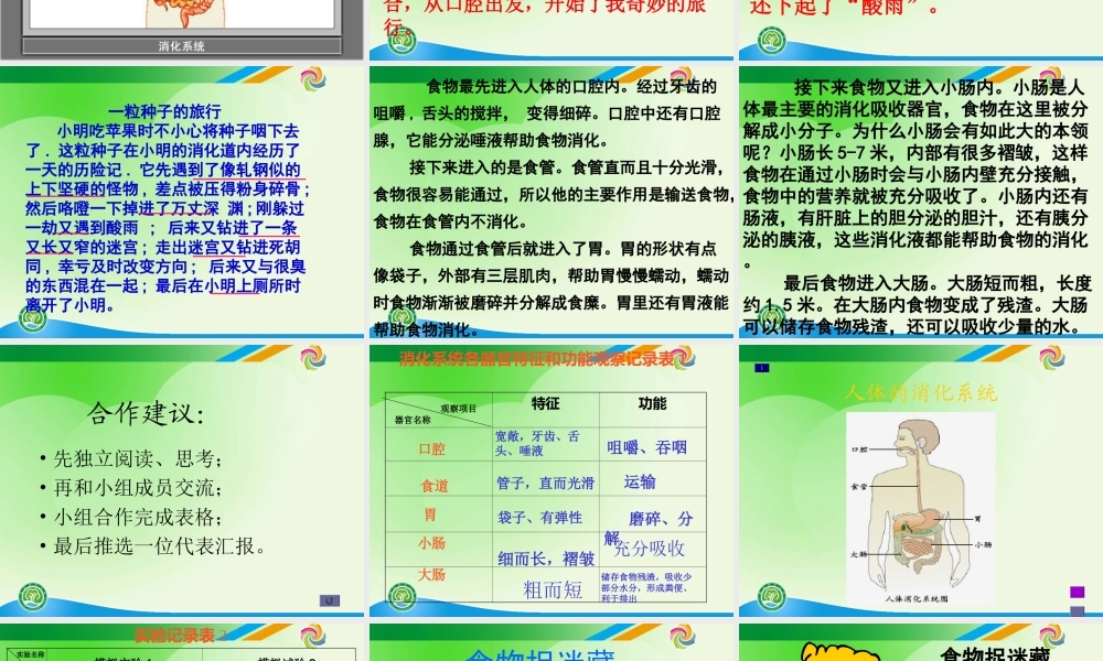 教科小学科学四上《4.5、食物在体内的旅行》PPT课件(5)【加微信公众号 jiaoxuewuyou 九折优惠 qq 1119139686】.ppt