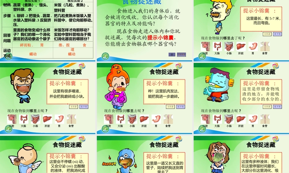 教科小学科学四上《4.5、食物在体内的旅行》PPT课件(5)【加微信公众号 jiaoxuewuyou 九折优惠 qq 1119139686】.ppt