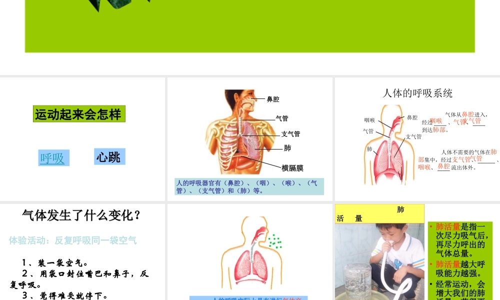 教科小学科学四上《4.3、跳动起来会怎样（一）》PPT课件(6)【加微信公众号 jiaoxuewuyou 九折优惠 qq 1119139686】.ppt