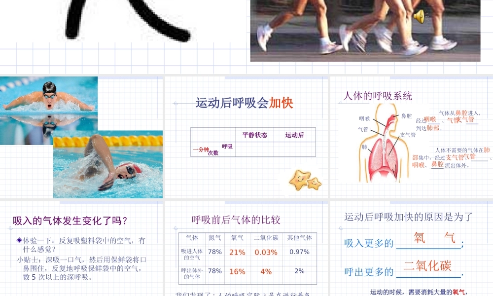 教科小学科学四上《4.3、跳动起来会怎样（一）》PPT课件(1)【加微信公众号 jiaoxuewuyou 九折优惠 qq 1119139686】.ppt