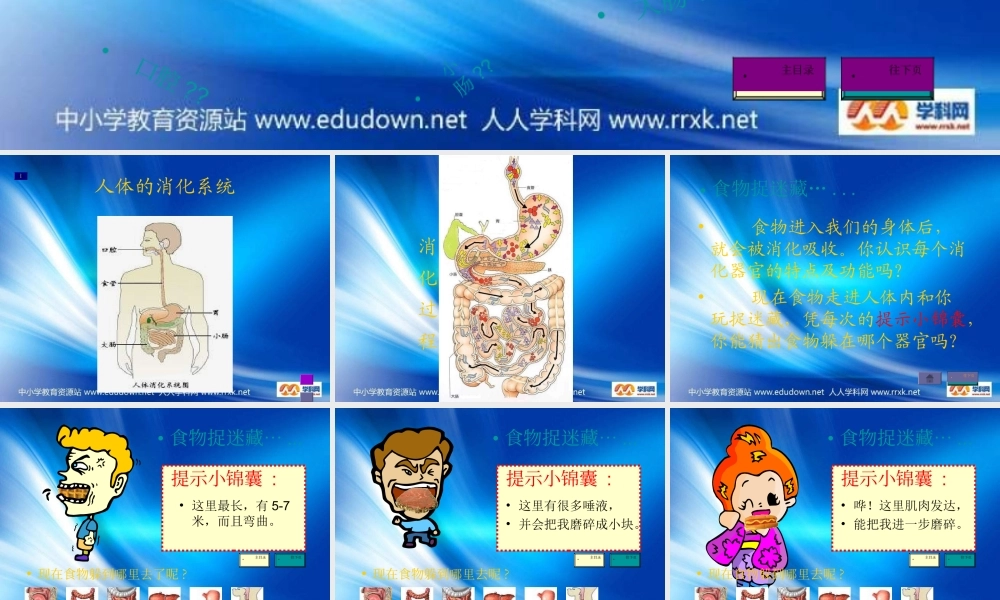 教科小学科学四上《4.5、食物在体内的旅行》PPT课件(2)【加微信公众号 jiaoxuewuyou 九折优惠 qq 1119139686】.ppt