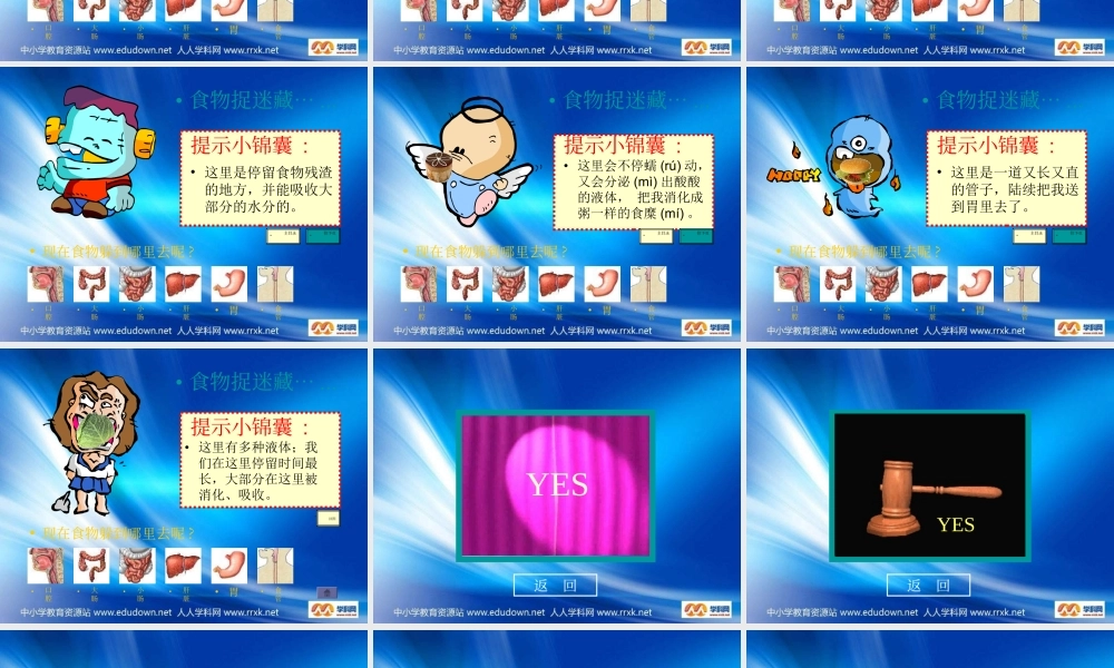 教科小学科学四上《4.5、食物在体内的旅行》PPT课件(2)【加微信公众号 jiaoxuewuyou 九折优惠 qq 1119139686】.ppt