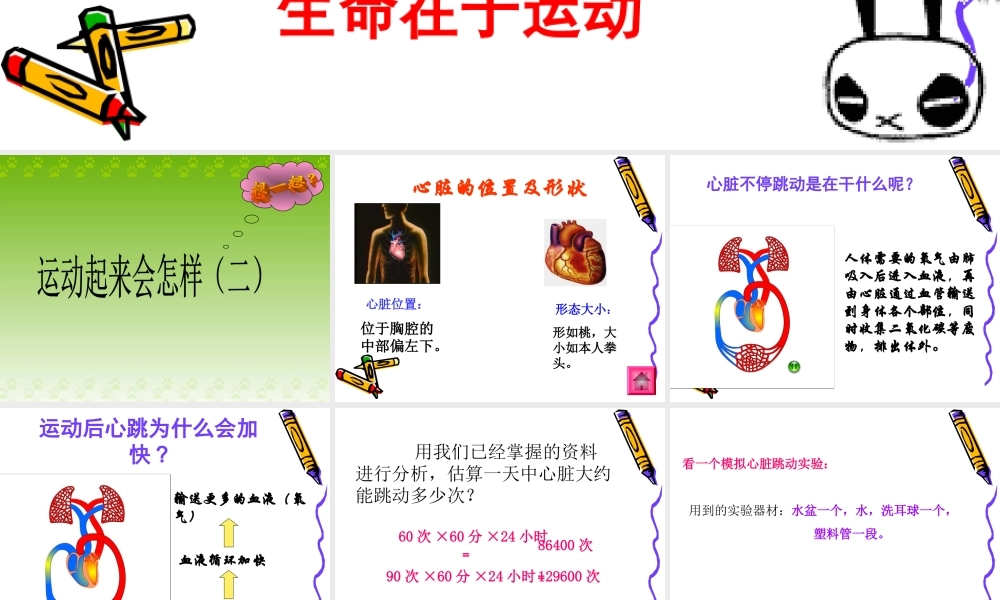 教科小学科学四上《4.4、跳动起来会怎样（二）》PPT课件(3)【加微信公众号 jiaoxuewuyou 九折优惠 qq 1119139686】.ppt