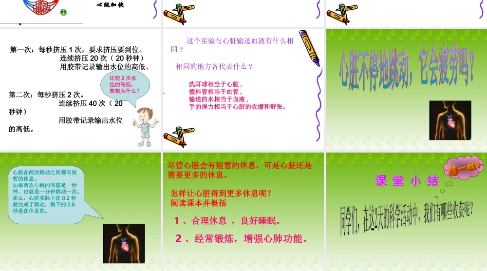 教科小学科学四上《4.4、跳动起来会怎样（二）》PPT课件(3)【加微信公众号 jiaoxuewuyou 九折优惠 qq 1119139686】.ppt