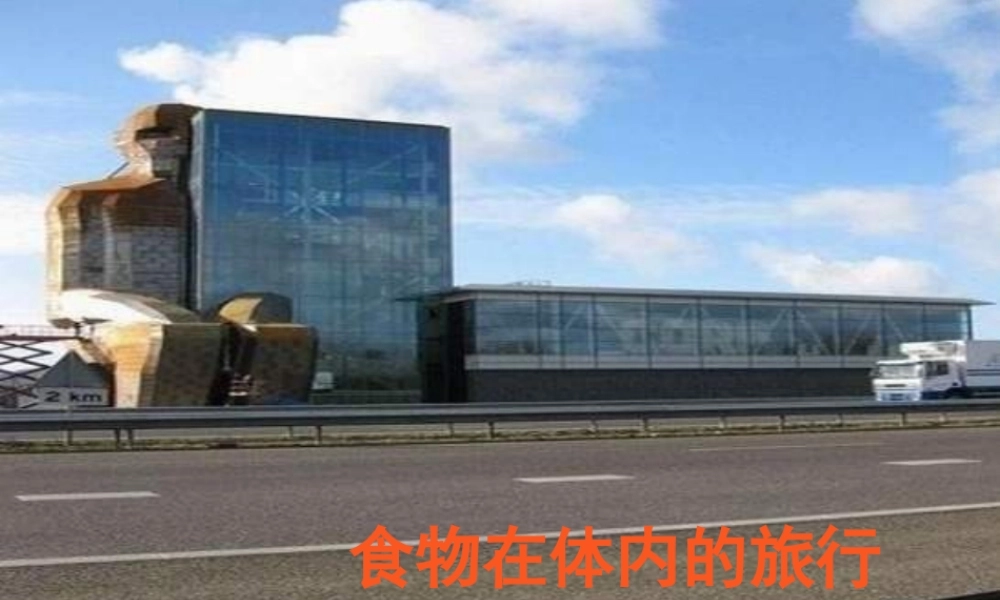 教科小学科学四上《4.5、食物在体内的旅行》PPT课件(4)【加微信公众号 jiaoxuewuyou 九折优惠 qq 1119139686】.ppt