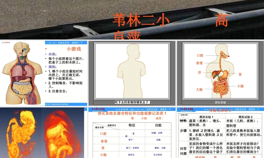 教科小学科学四上《4.5、食物在体内的旅行》PPT课件(4)【加微信公众号 jiaoxuewuyou 九折优惠 qq 1119139686】.ppt