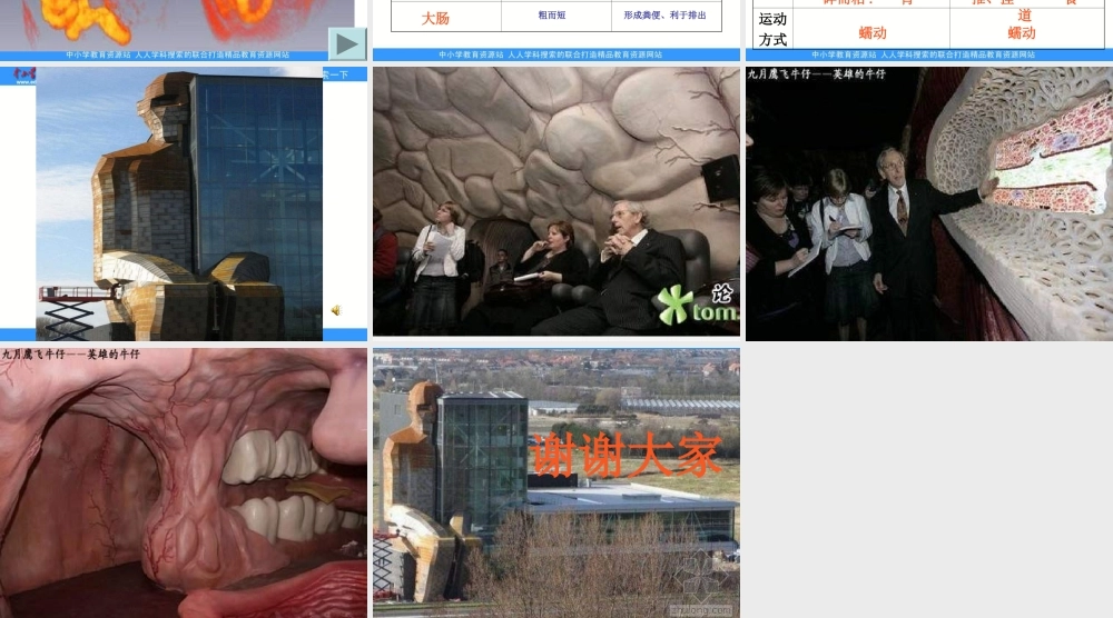 教科小学科学四上《4.5、食物在体内的旅行》PPT课件(4)【加微信公众号 jiaoxuewuyou 九折优惠 qq 1119139686】.ppt