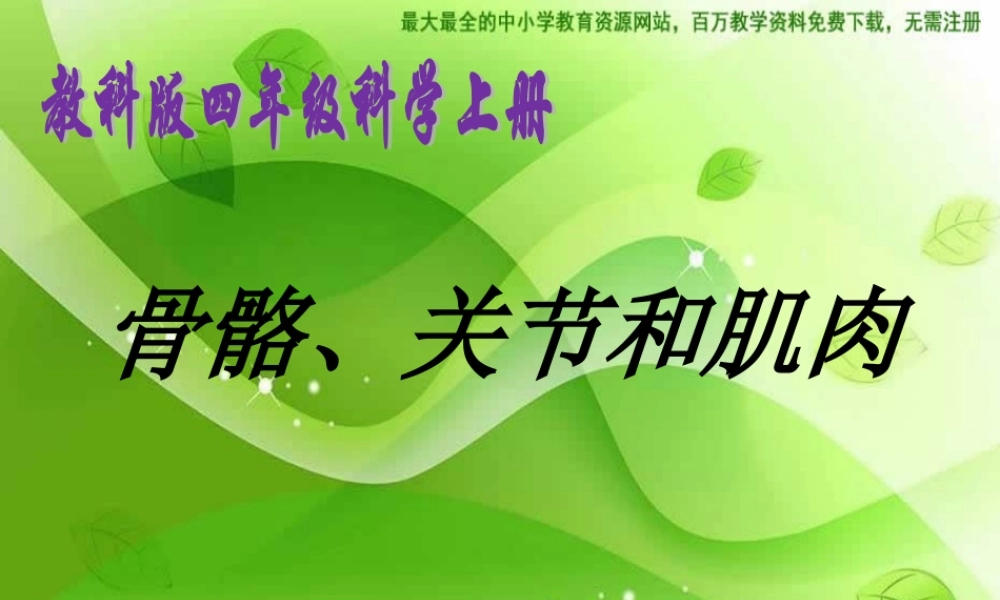 教科小学科学四上《4.2、骨骼、关节和肌肉》PPT课件(8)【加微信公众号 jiaoxuewuyou 九折优惠 qq 1119139686】.ppt
