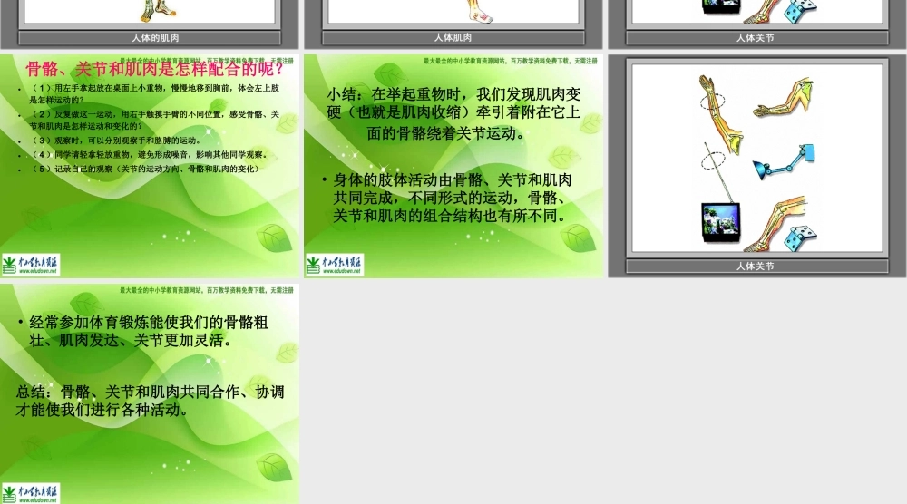 教科小学科学四上《4.2、骨骼、关节和肌肉》PPT课件(8)【加微信公众号 jiaoxuewuyou 九折优惠 qq 1119139686】.ppt