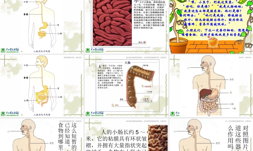 教科小学科学四上《4.5、食物在体内的旅行》PPT课件(7)【加微信公众号 jiaoxuewuyou 九折优惠 qq 1119139686】.ppt